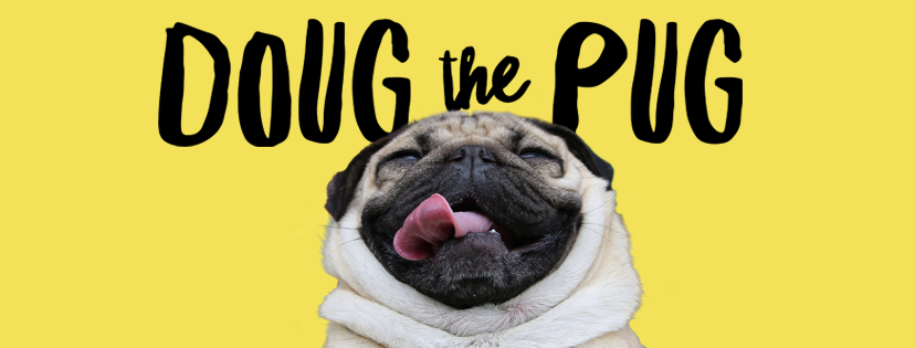 doug-the-pug-pet-influencer