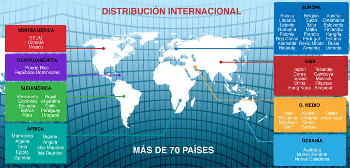 Infografía Diseño Grupo Delaviuda