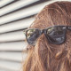 consejos-para-crear-contenido-emprendedores