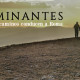 viaje-caminantes-mediapost