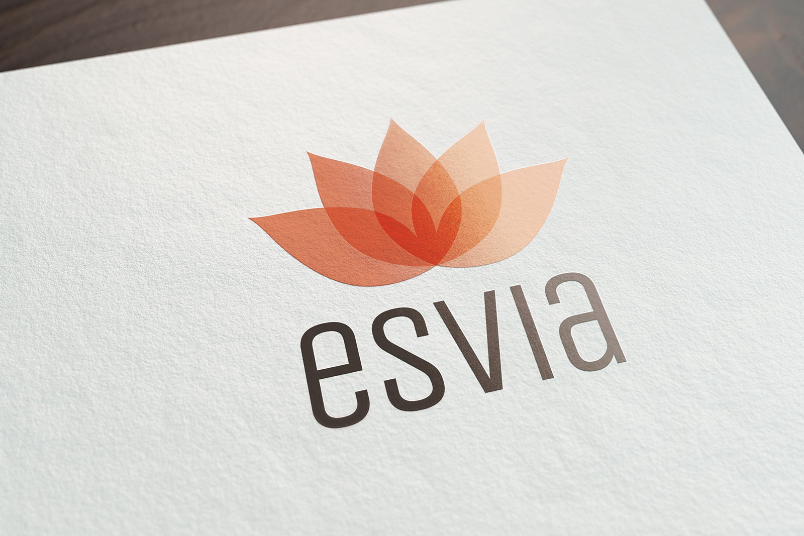 esvia-alimentacion-consciente-identidad-corporativa-logo