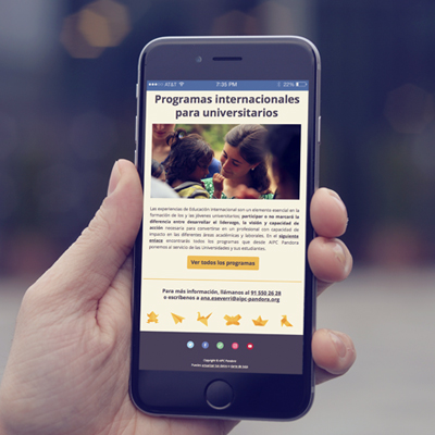 newsletter-contenidos