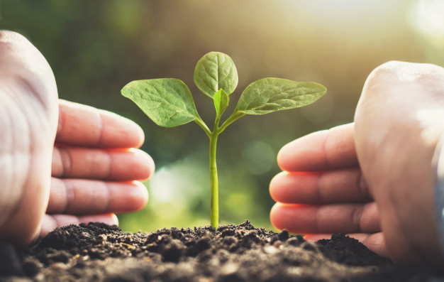 responsabilidad-social-corporativa-empresas-conscientes