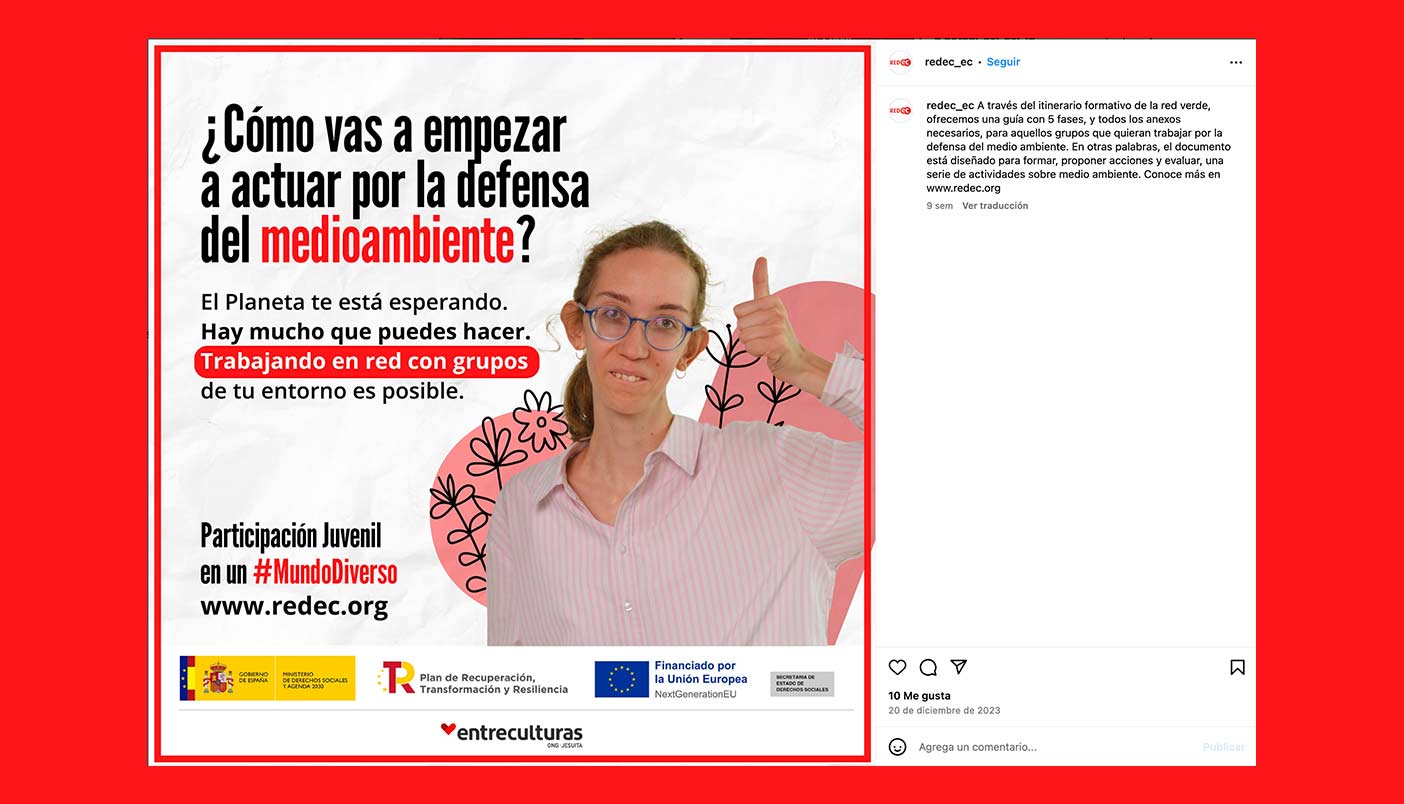 disciplina contenidos redes sociales