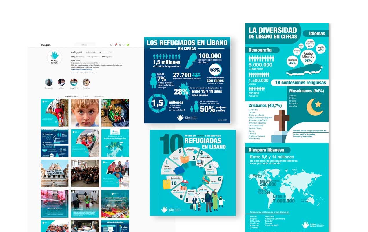 diseño de páginas web para ONG