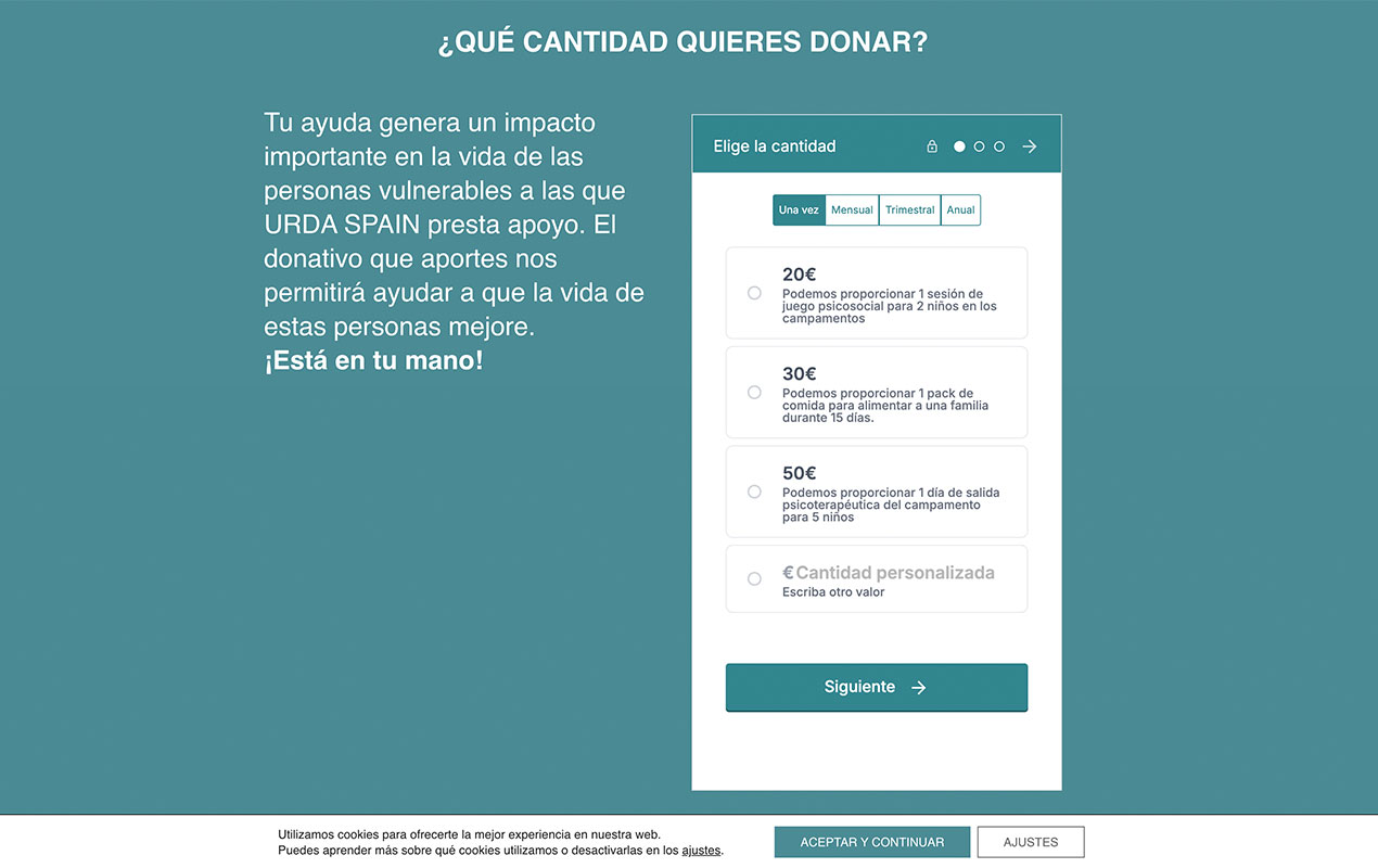 diseño de páginas web para ONG