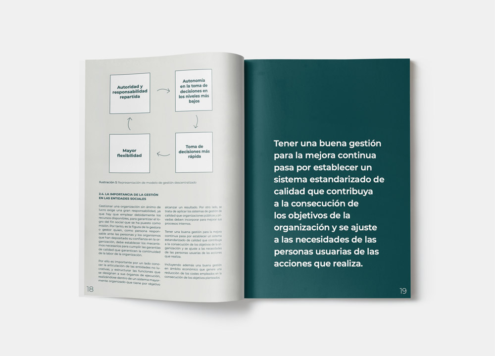 Diseño gráfico Plataforma-ONG-de-Acción-Social