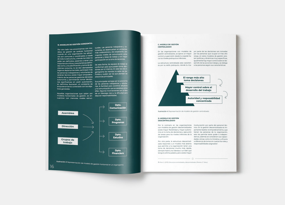 Diseño gráfico Plataforma-ONG-de-Acción-Social