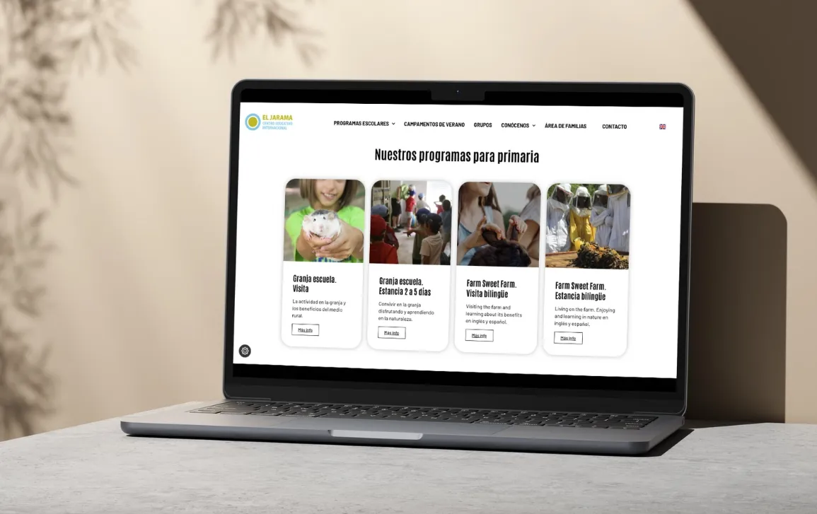 Diseño web agencia