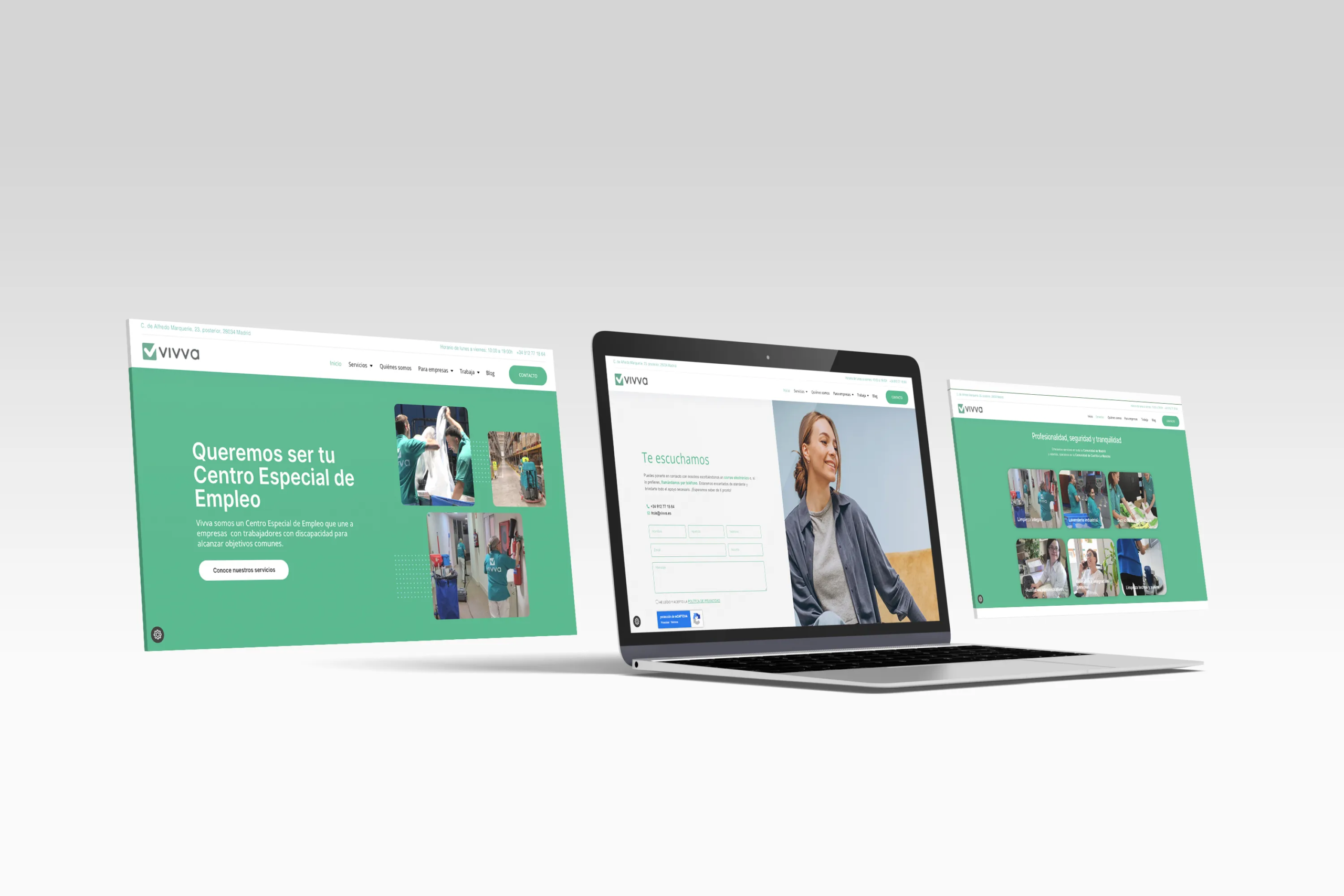 Diseño web vivva