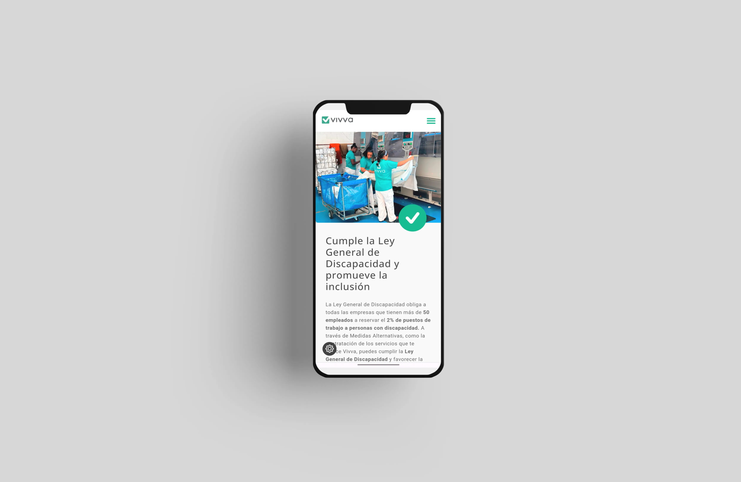 Diseño web vivva