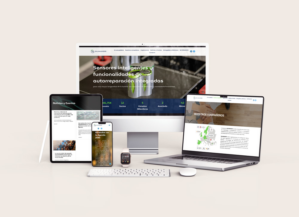 ife diseño web