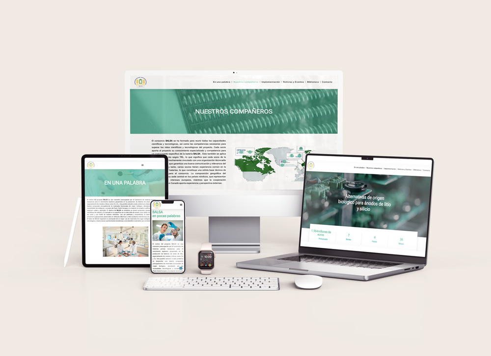 ife diseño web