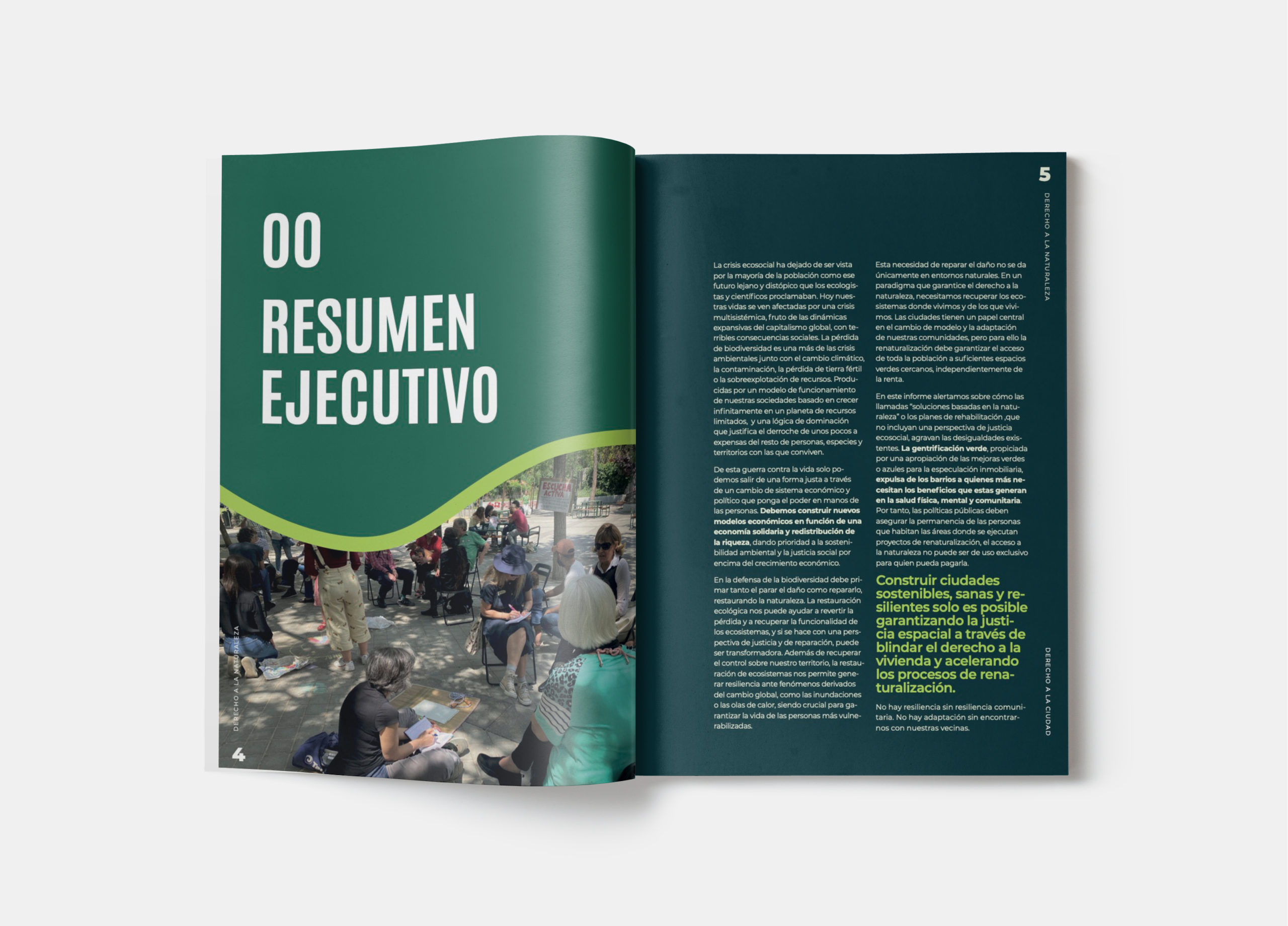diseño informe impacto amigos de la tierra