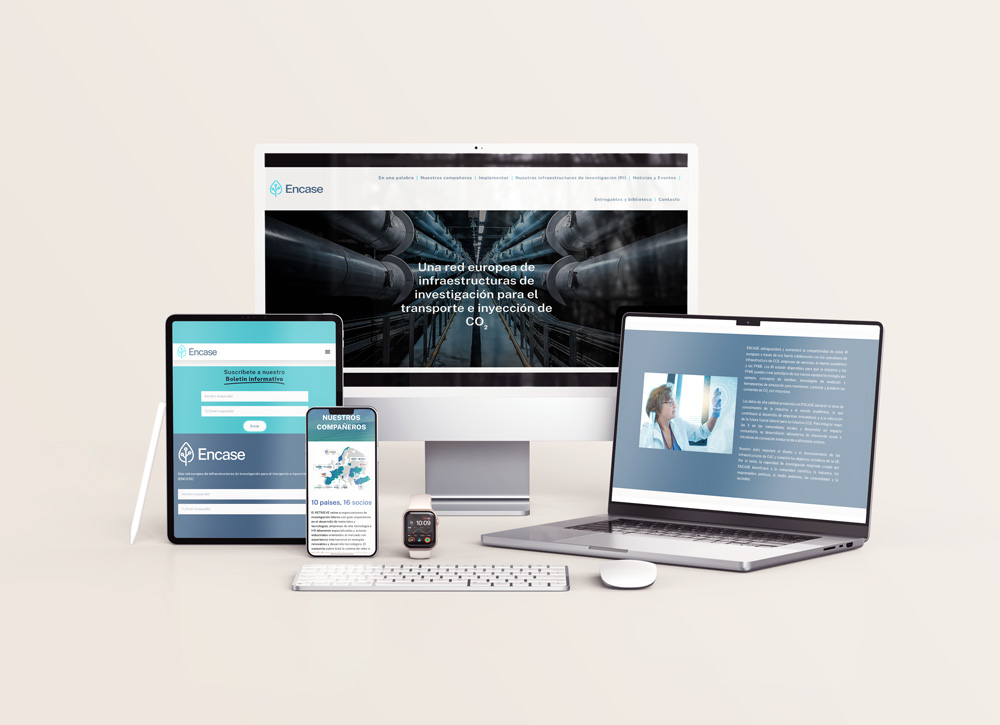 ife diseño web