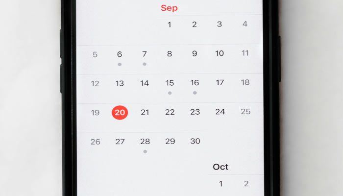 Calendario de Días Mundiales para ONG