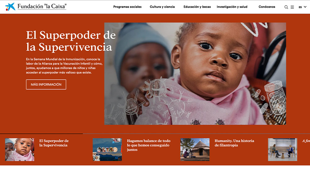 ONG fundación asociación federación