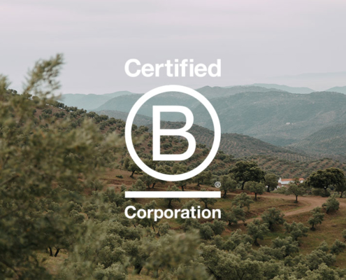 sello B Corp