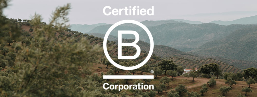 sello B Corp